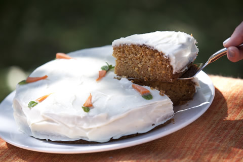 Yummy carrot cake was served for tea on safari with Okavango Expeditions