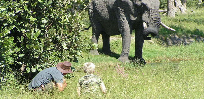 Okavango Expeditions guide with client and elephant