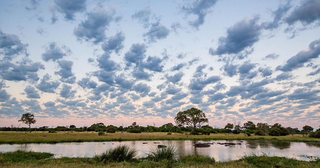 Okavango Expeditions safari sunset