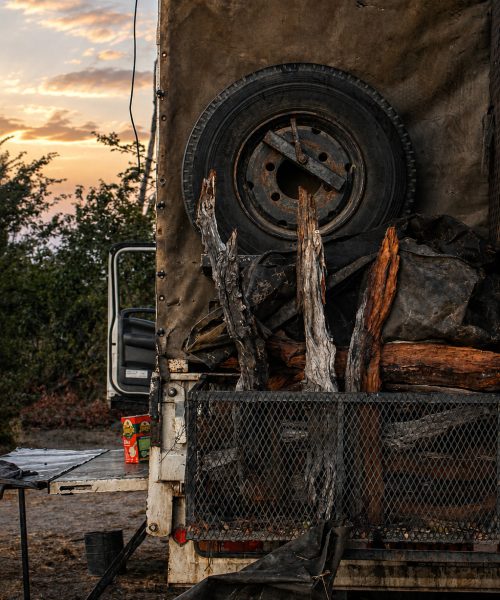 Firewood